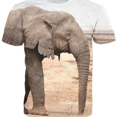 Elephants