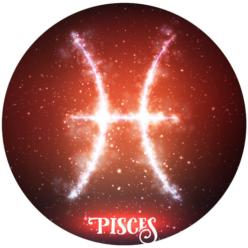 Pisces Zodiac Thing Necklace and Bangle
